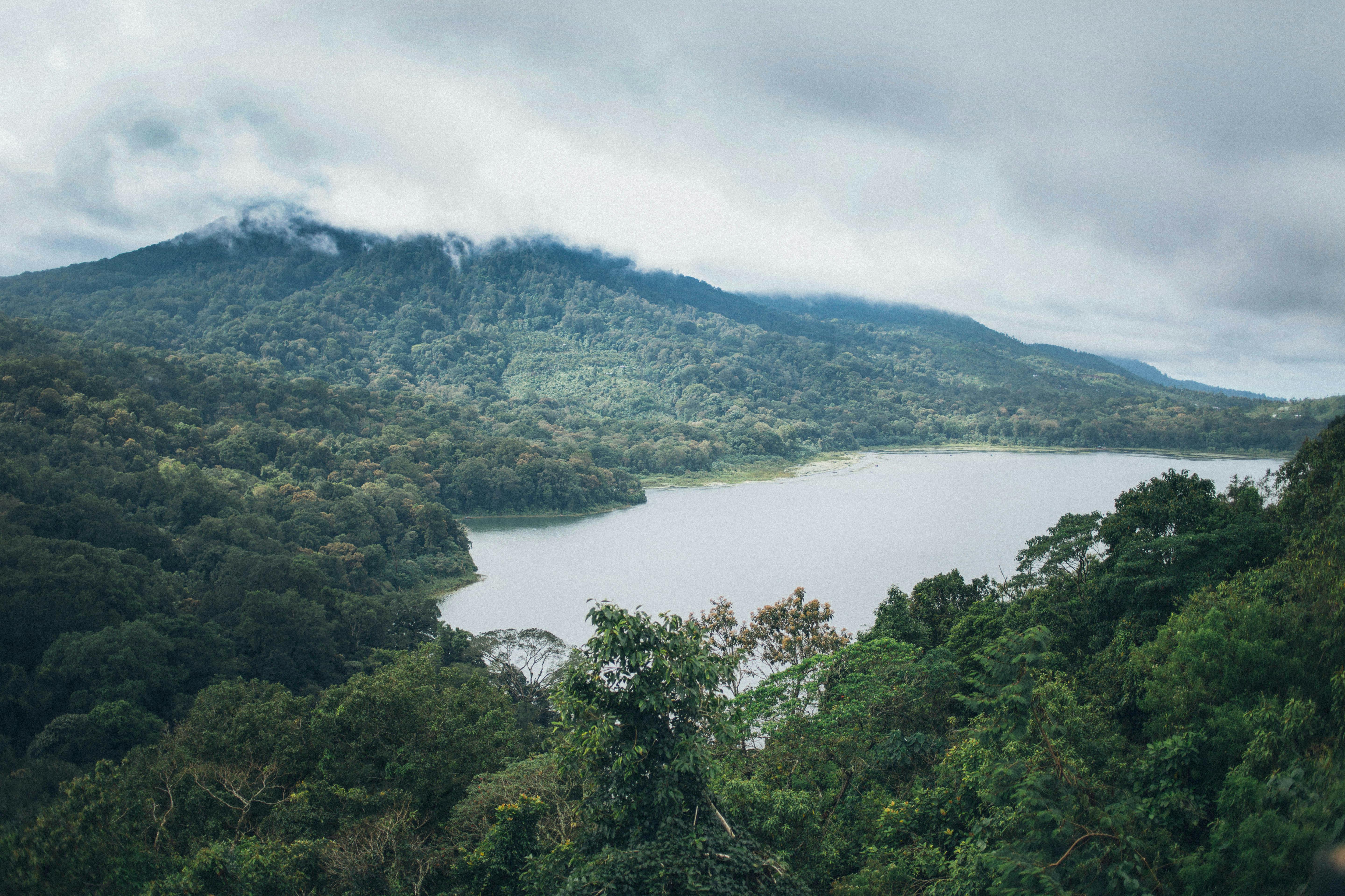 Photo of an island rainforest cove from above