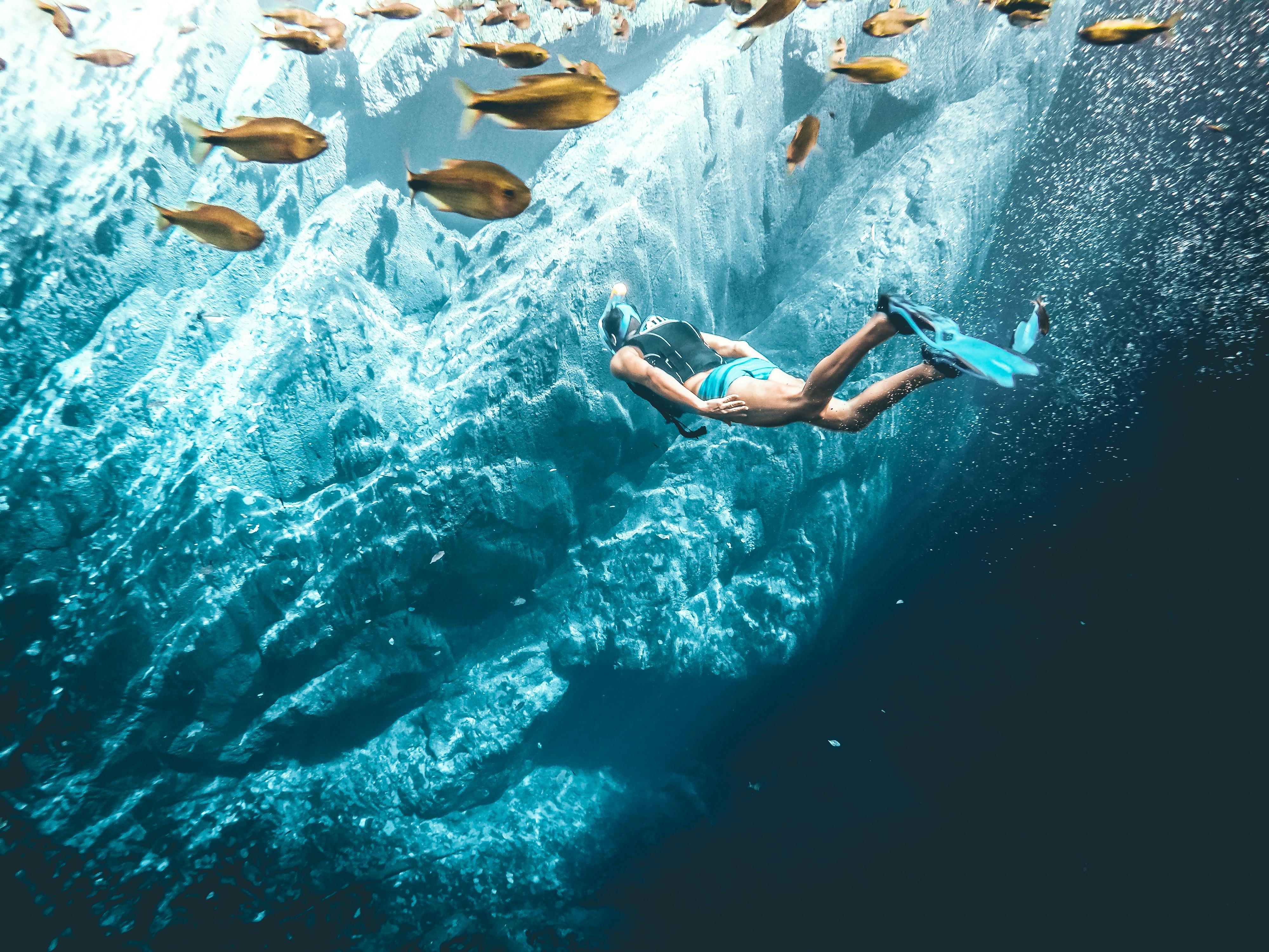 A person snorkeling near an underwater cliffside wtih a school of fish in the foreground