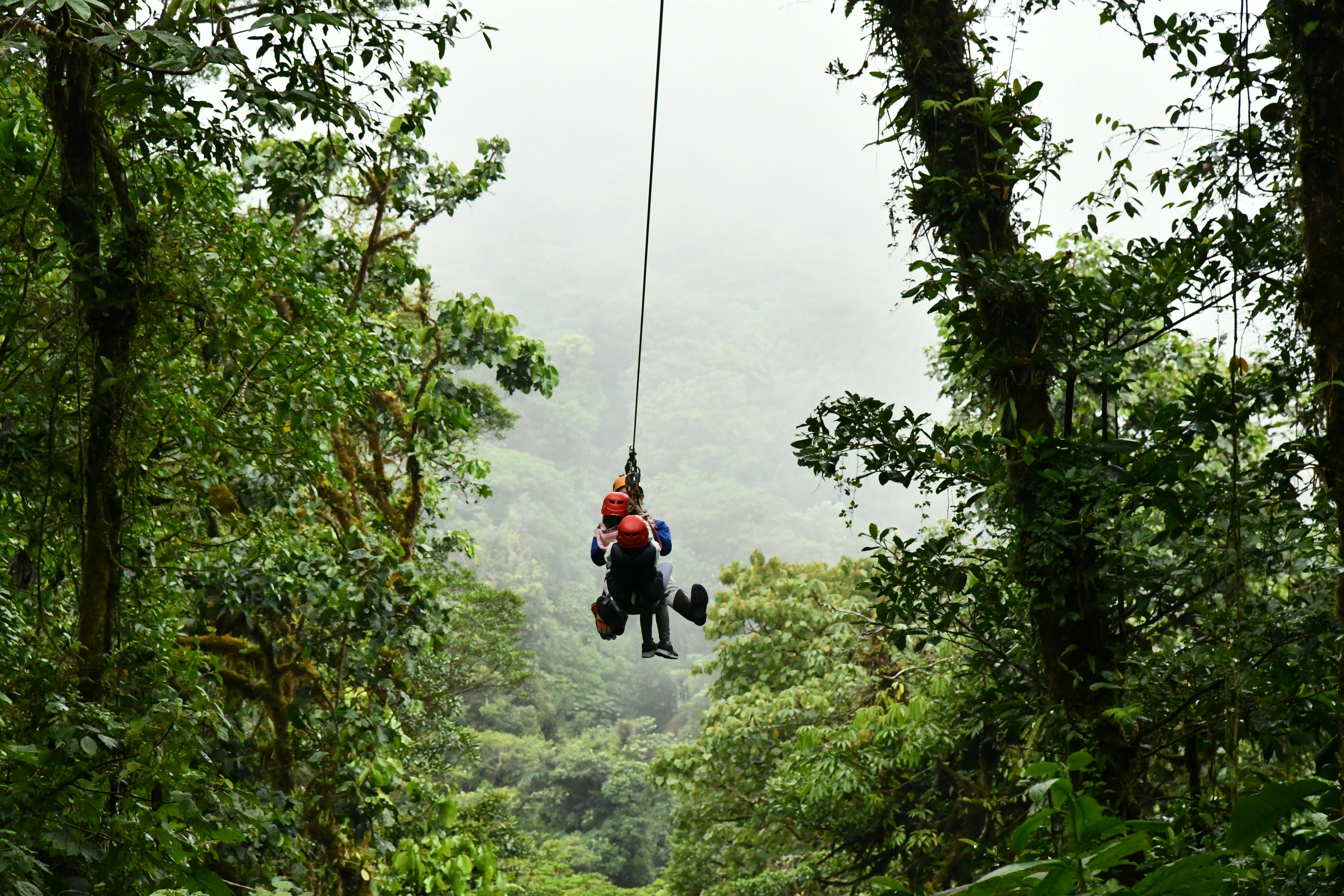 Zipline going down through a foggy rainforest